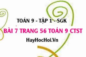 Bài 7 trang 56 Toán 9 tập 1 Chân trời sáng tạo